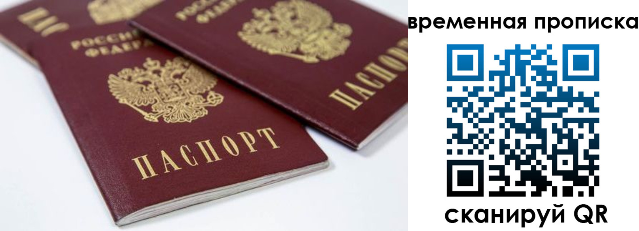 прописка для школы в Купино